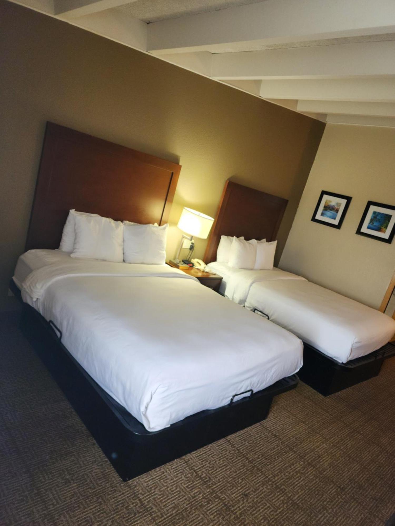 Comfort Inn & Suites Madison - Airport מראה חיצוני תמונה