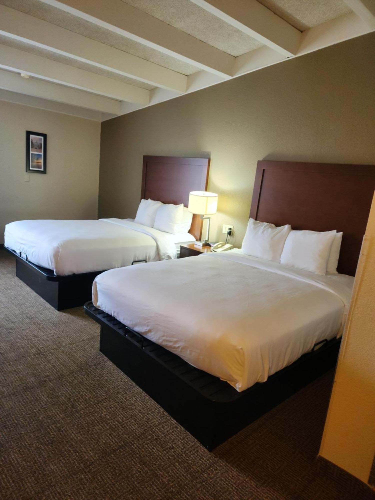 Comfort Inn & Suites Madison - Airport מראה חיצוני תמונה