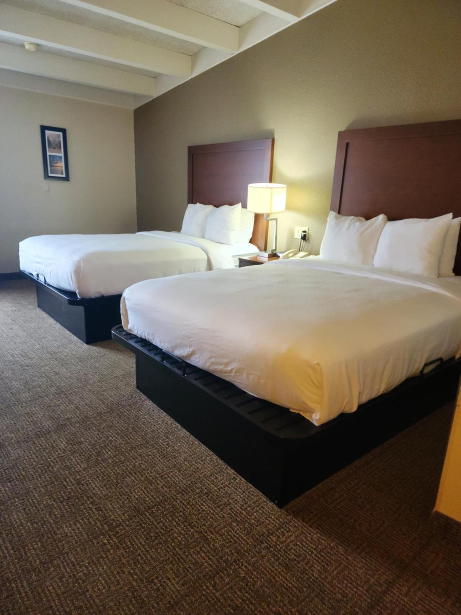 Comfort Inn & Suites Madison - Airport מראה חיצוני תמונה